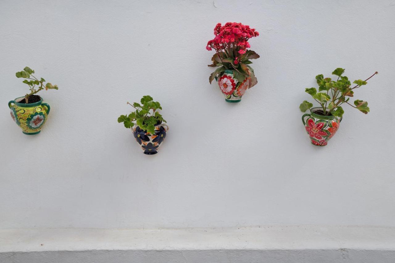 Apartmán Casa Gofio Puerto del Carmen  Exteriér fotografie